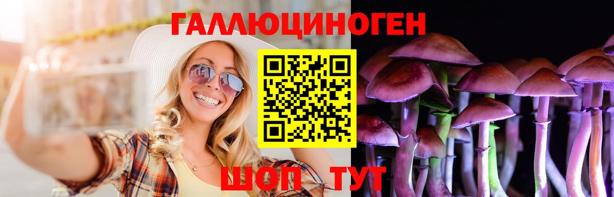 Псилоцибиновые грибы ЛСД  Вход с VPN  Свободный 